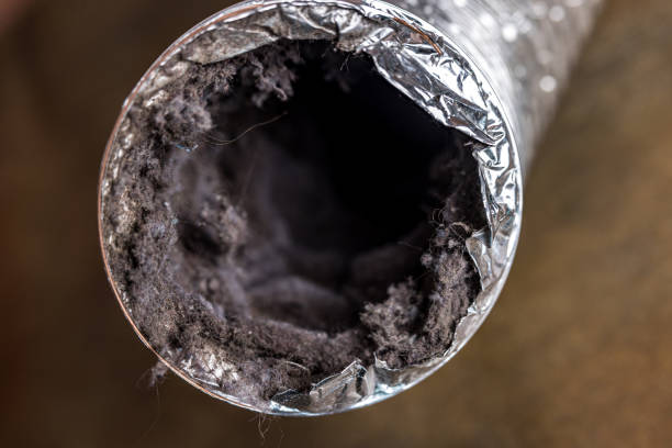 Affordable HVAC Duct Cleaning in Lockwood, MO